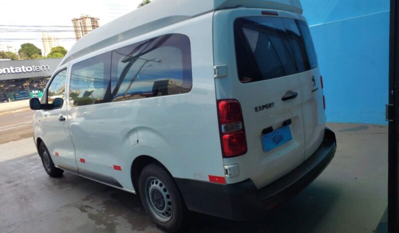 
								Peugeot Expert completo									
