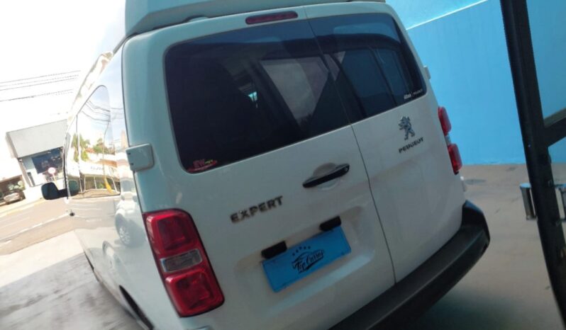 
								Peugeot Expert completo									