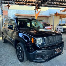 
										Jeep Renegade completo									