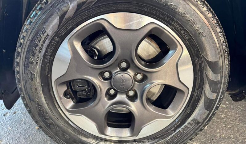 
								Jeep Renegade completo									