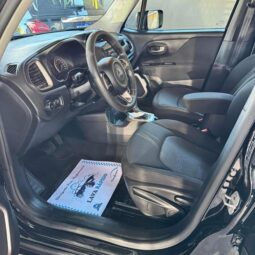 
										Jeep Renegade completo									