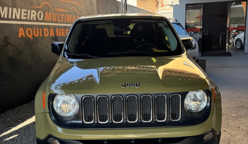 
								Jeep Renegade completo									