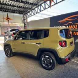 
										Jeep Renegade completo									