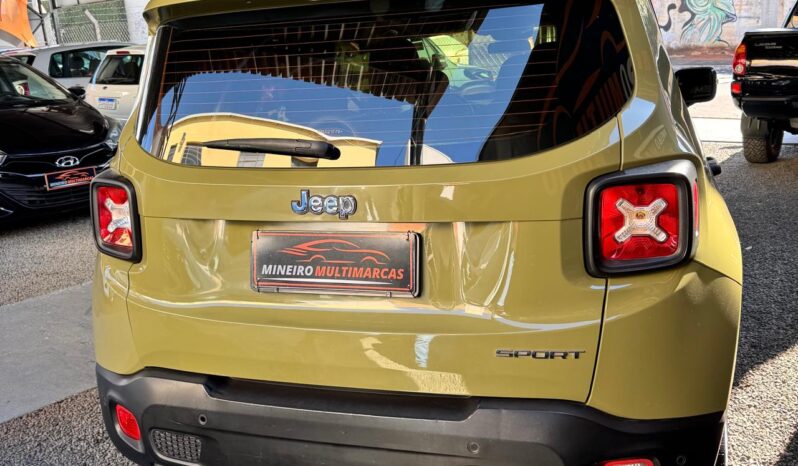 
								Jeep Renegade completo									