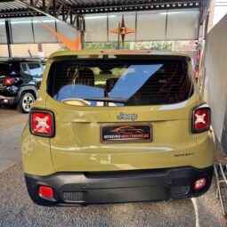 
										Jeep Renegade completo									