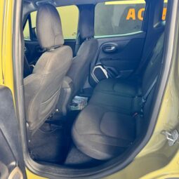 
										Jeep Renegade completo									