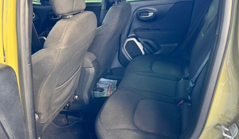 
								Jeep Renegade completo									