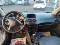 
										Peugeot 207 completo									