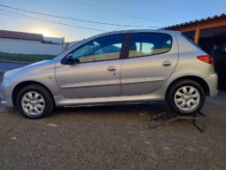 
										Peugeot 207 completo									