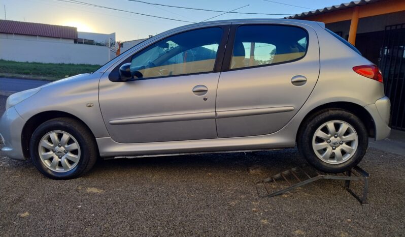 
								Peugeot 207 completo									