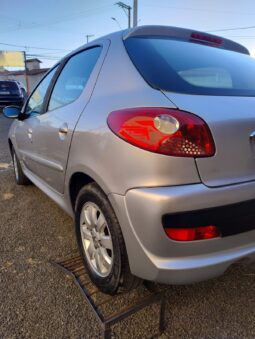 
										Peugeot 207 completo									