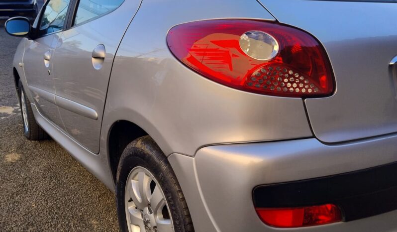 
								Peugeot 207 completo									